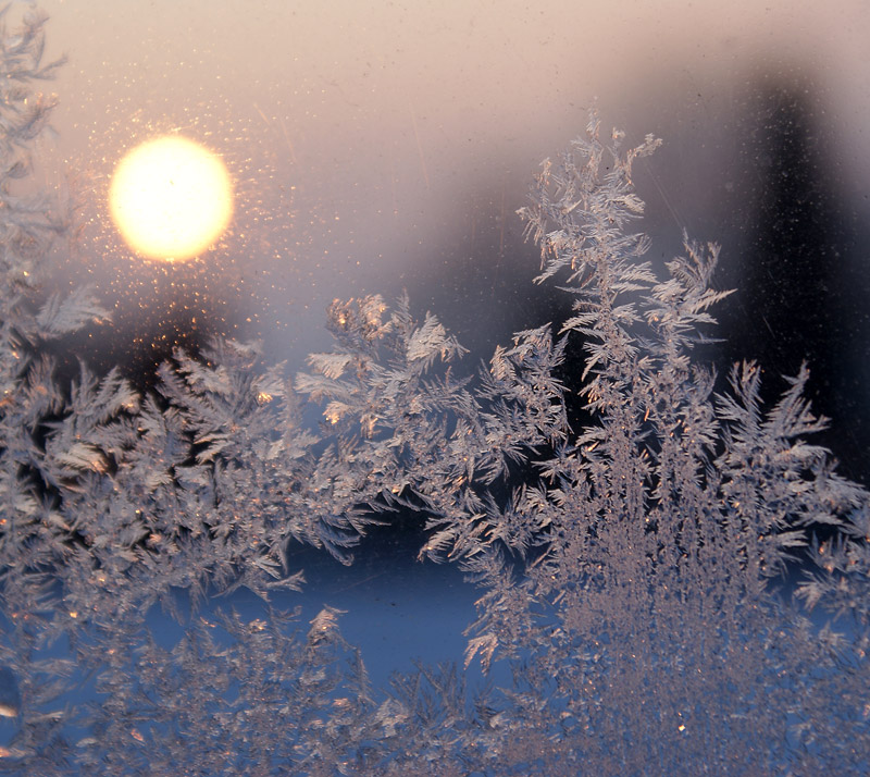 ráno - zamrzlé okno l  .jpg